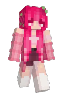 mairimm Minecraft avatar full body