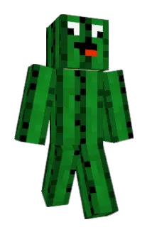 malewife__ Minecraft avatar full body