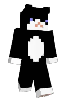 malloo4025 Minecraft avatar full body