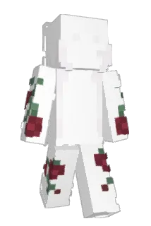 malolo233 Minecraft avatar full body