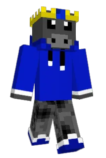manateeman Minecraft avatar full body