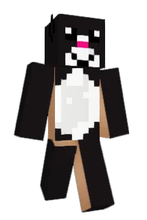 manny123 Minecraft avatar full body