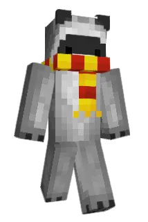 mapachito8 Minecraft avatar full body