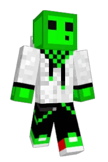 mariocart8 Minecraft avatar full body