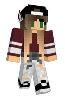marlins14 Minecraft avatar full body