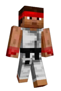 martinwinther Minecraft avatar full body