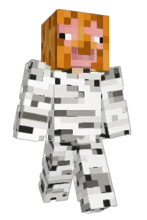 masken2500 Minecraft avatar full body