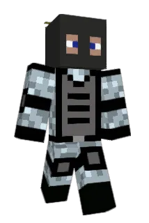 mathiasrosin Minecraft avatar full body