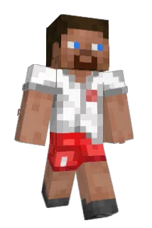 matidogi Minecraft avatar full body