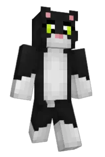 matric13 Minecraft avatar full body