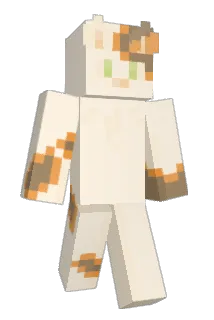 mattcat626 Minecraft avatar full body