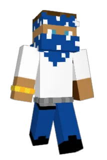 mattdawinner Minecraft avatar full body