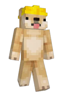 matwejdoge228 Minecraft avatar full body
