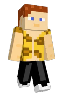 max2081 Minecraft avatar full body