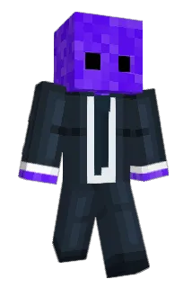 max869 Minecraft avatar full body