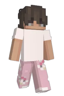 max_47er Minecraft avatar full body