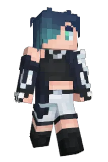maxapollus Minecraft avatar full body