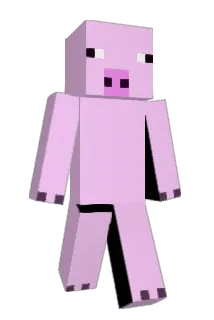 maximninja47 Minecraft avatar full body