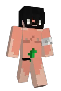 maximocag Minecraft avatar full body