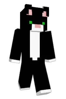 maxon404 Minecraft avatar full body