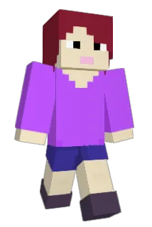 may14t Minecraft avatar full body