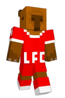 mazda_miata_nd Minecraft avatar full body