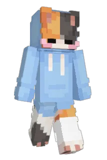 mc34061 Minecraft avatar full body