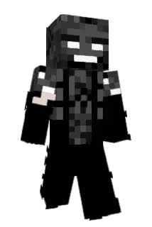 mcaw00011 Minecraft avatar full body