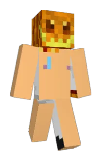 mcbobby202 Minecraft avatar full body