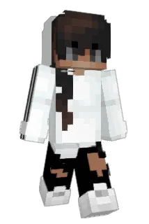 mccam Minecraft avatar full body