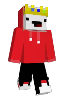 mcmeme699 Minecraft avatar full body