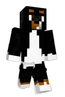 mdshw5 Minecraft avatar full body