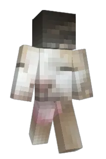 meatshow Minecraft avatar full body