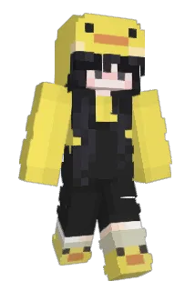 mebmds Minecraft avatar full body