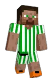 medin14 Minecraft avatar full body