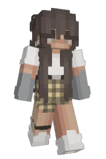 medixd Minecraft avatar full body