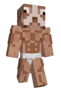 medustt Minecraft avatar full body