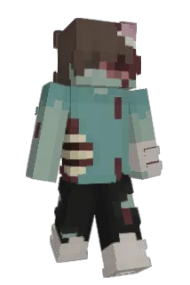meekis5 Minecraft avatar full body