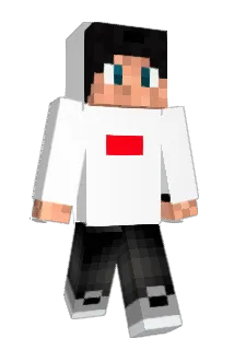 meemhecc Minecraft avatar full body