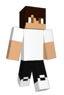 megatronq Minecraft avatar full body