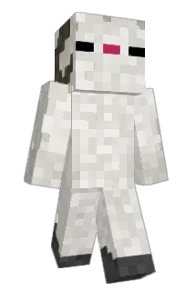 meisbetter13 Minecraft avatar full body