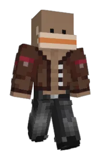 mellomaus Minecraft avatar full body