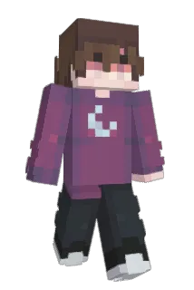 mellwy Minecraft avatar full body