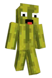 meloen22 Minecraft avatar full body