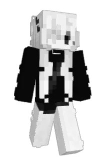 membered Minecraft avatar full body