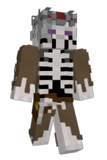 meme14423 Minecraft avatar full body