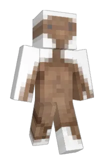 meow836 Minecraft avatar full body