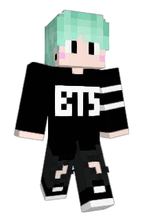 meowD309 Minecraft avatar full body