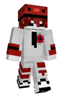 meowingzay Minecraft avatar full body