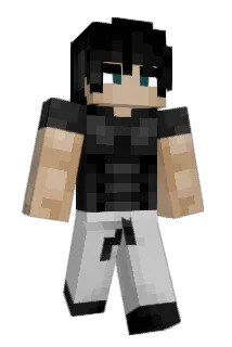 meshvry Minecraft avatar full body